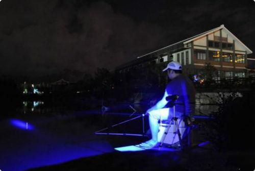 夏季夜钓鲤鱼视频,星光下的垂钓乐章
