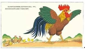 公鸡比美的故事视频,一场别开生面的鸟类盛宴