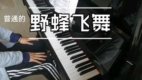 钢琴野蜂飞舞视频,音符中的蜂舞飞扬