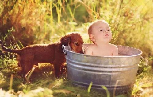 爷爷帮奶奶洗澡视频,爷爷细心为奶奶洗澡，传承家的温暖