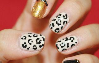 豹纹美甲视频,跟随视频教程打造时尚指尖艺术