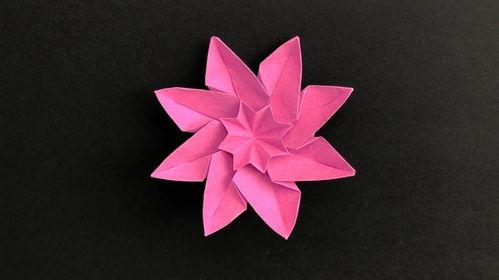 折纸花的视频大全视频