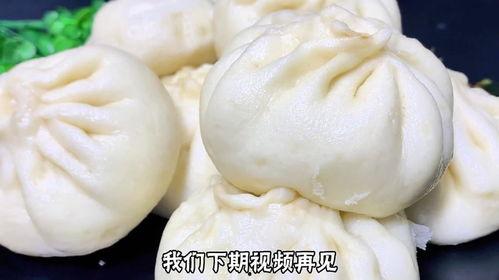 肉包子怎么做视频,家常美味轻松学