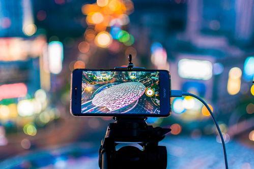 未来神马视频,预见未来,探索无限可能